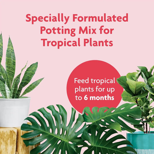 Miracle-Gro Tropical Potting Mix, For Container Plants, Use with Snake Plants, Spider Plants, Pothos, Monstera, 6 qt., 3-Pack