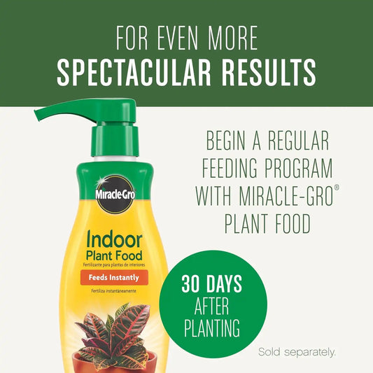 Miracle-Gro Houseplant Potting Mix, 4 qt. (Pack of 10)