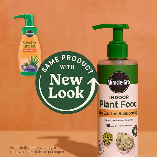 Miracle-Gro Indoor Potting Mix & Plant Food for Cactus & Succulent Bundle