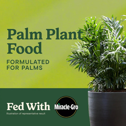Miracle-Gro Shake 'N Feed Palm Plant Food, 8 lb.